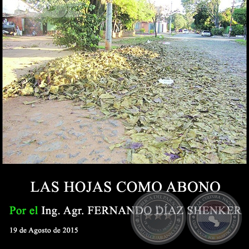 LAS HOJAS COMO ABONO - Ing. Agr. FERNANDO DÍAZ SHENKER - 19 de Agosto de 2015